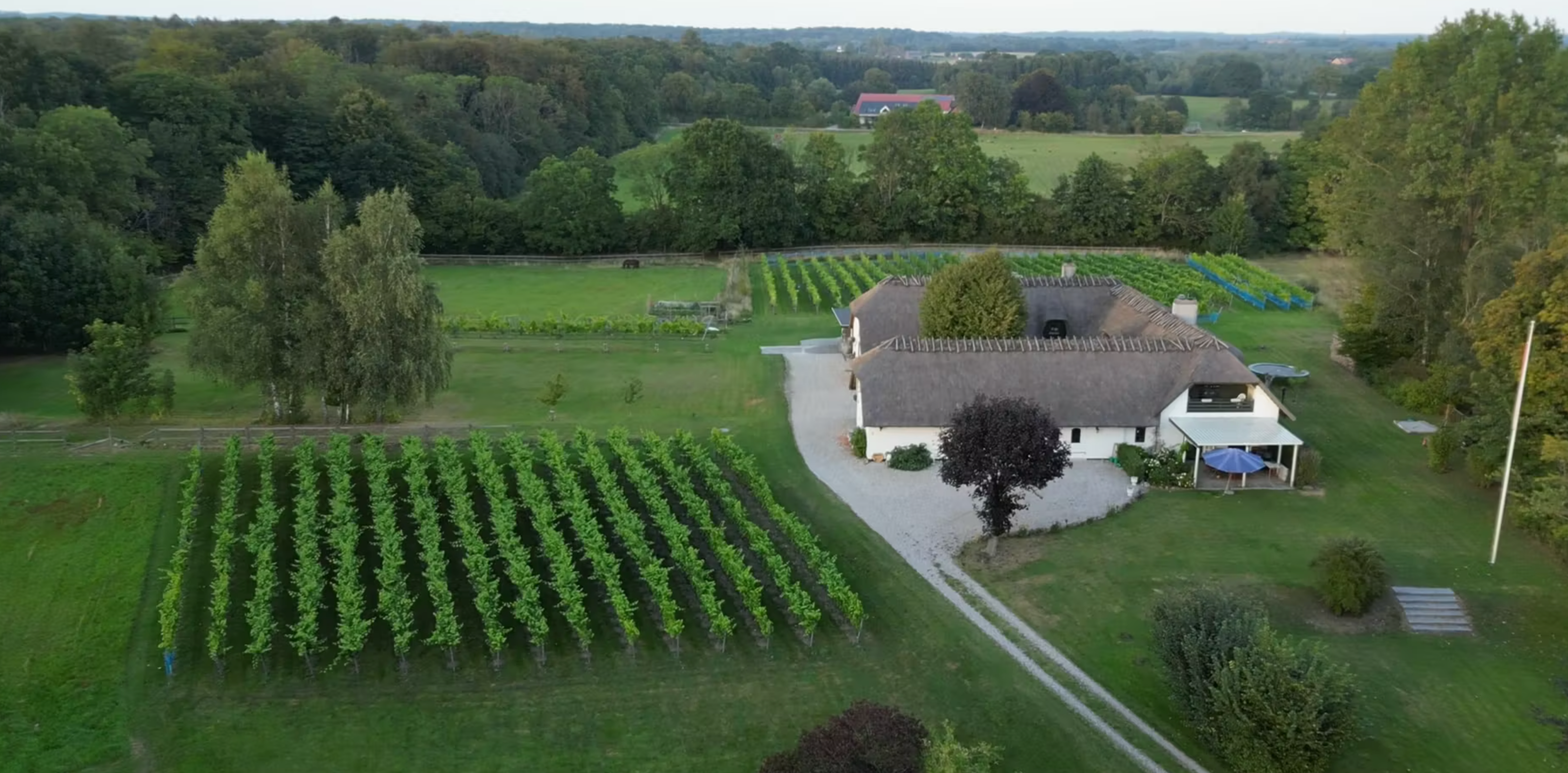 Smag på lokal vin fra Høbjerggård Vin